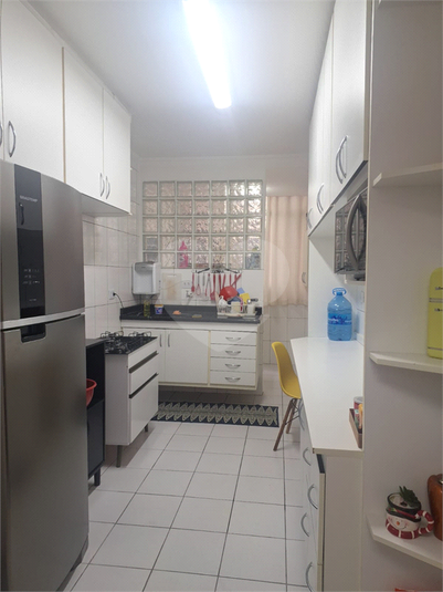 Aluguel Apartamento Guarulhos Jardim Dourado REO1055072 13