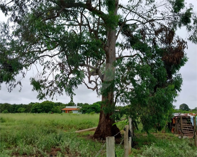 Venda Chácara Arealva Área Rural De Arealva REO1055086 19