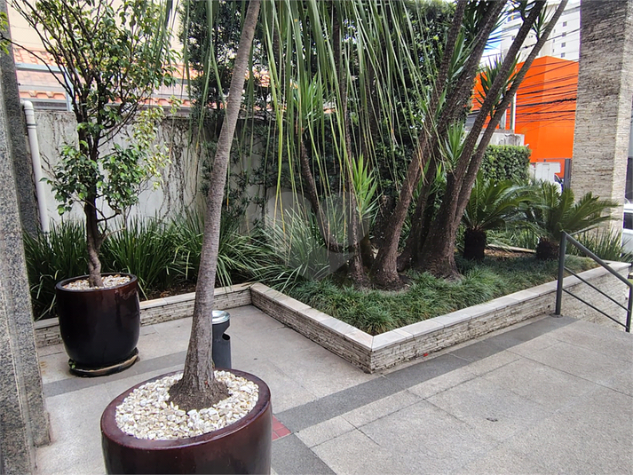 Foto REO1055141