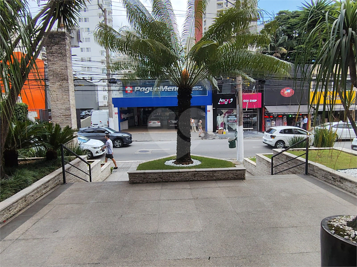 Foto REO1055141