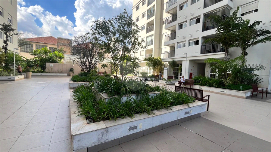 Aluguel Apartamento São Paulo Brás REO1055178 56