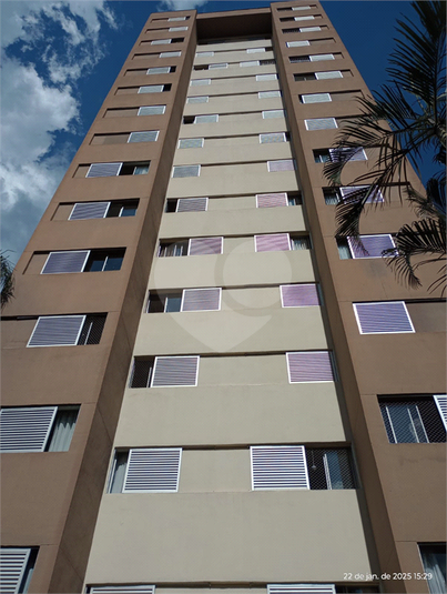 Aluguel Apartamento São Paulo Vila Paulicéia REO1055247 14