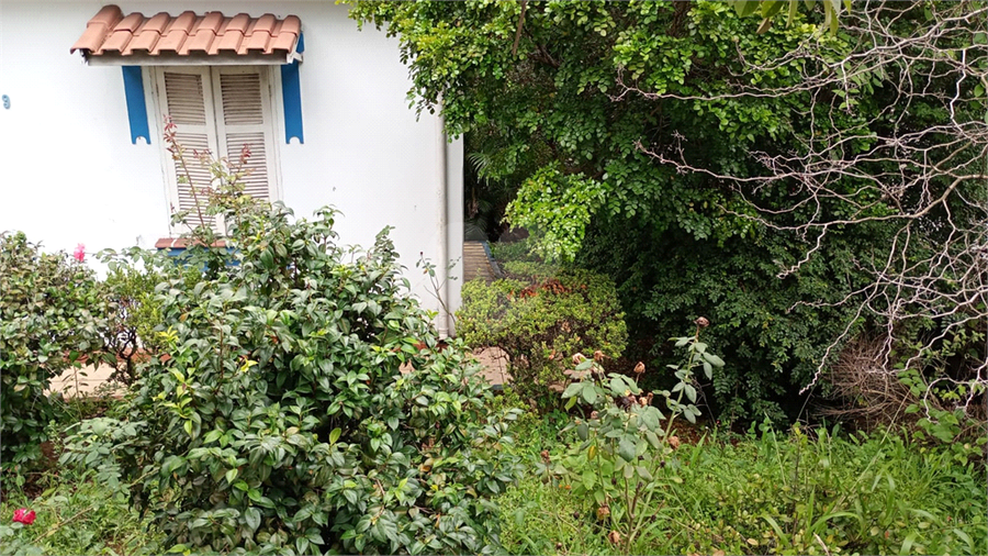 Foto REO1055248