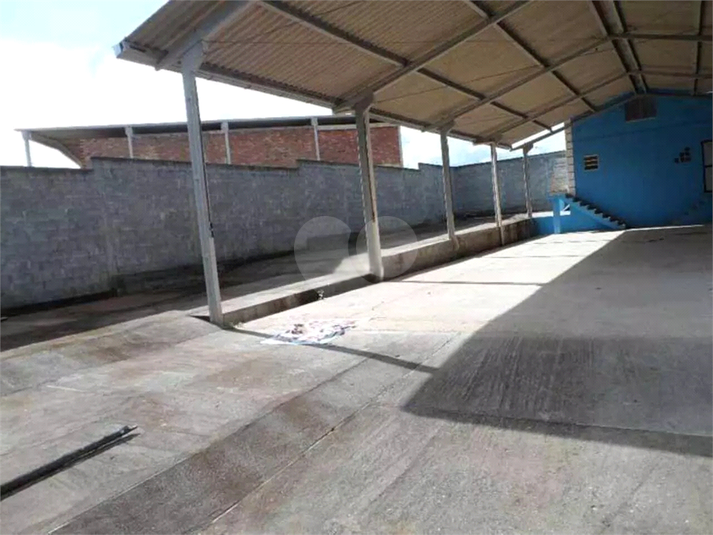 Foto REO1055359
