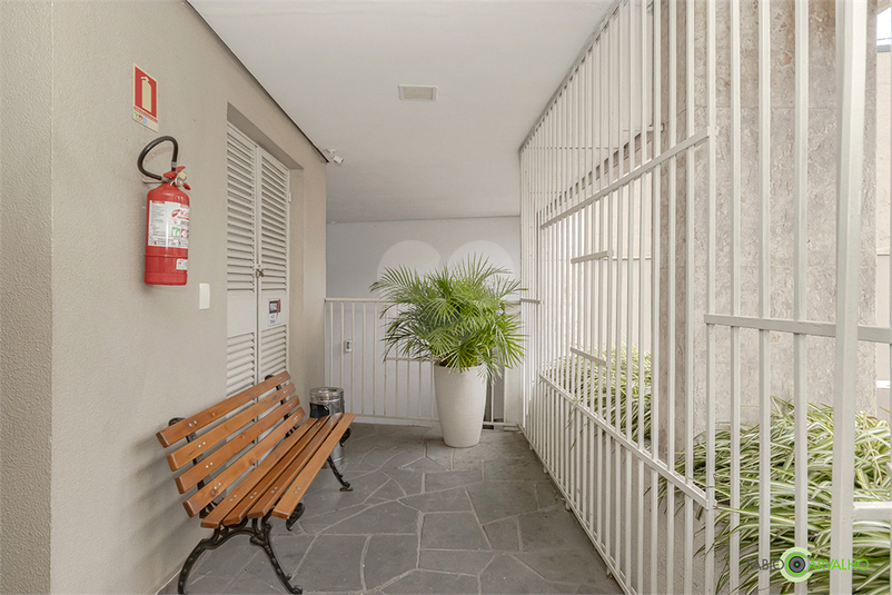 Foto REO1055388