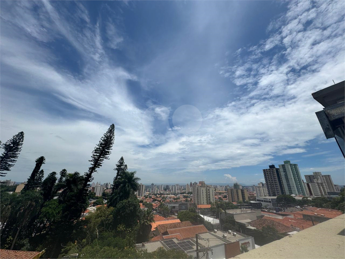 Foto REO1055408