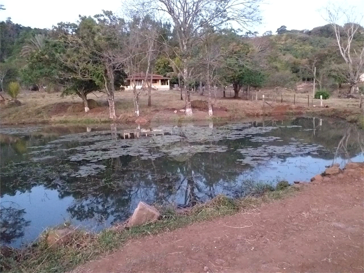 Foto REO1055476