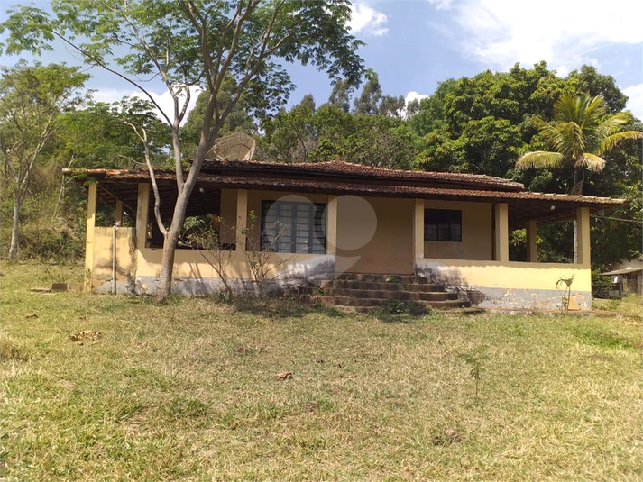 Foto REO1055476