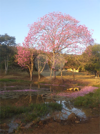 Foto REO1055476