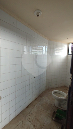 Aluguel Barracão Bauru Vila Pacífico REO1055480 17