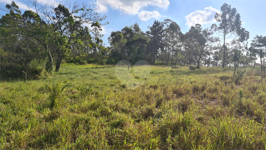 Venda Terreno Campo Limpo Paulista Chácara Ivoturucaia REO1055554 6