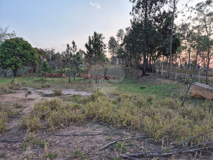 Venda Terreno Campo Limpo Paulista Chácara Ivoturucaia REO1055554 12