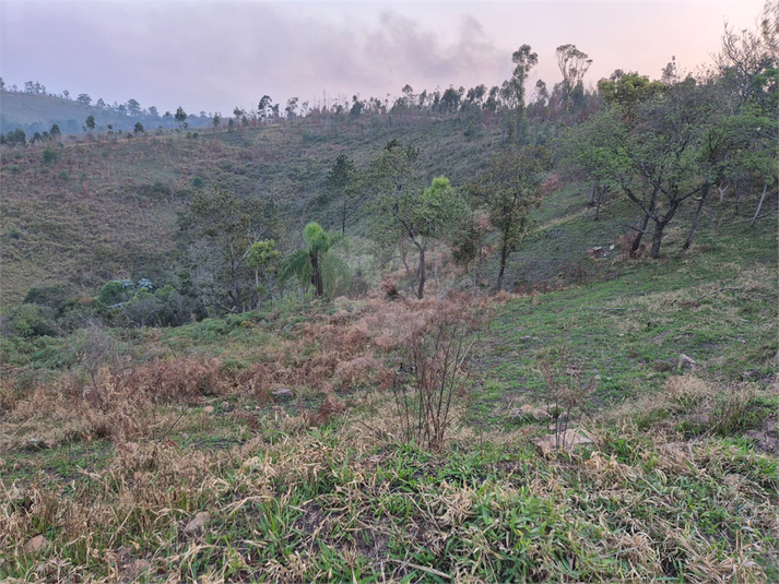 Venda Terreno Campo Limpo Paulista Chácara Ivoturucaia REO1055554 15