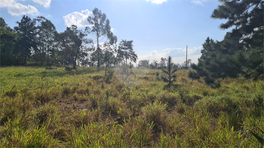 Venda Terreno Campo Limpo Paulista Chácara Ivoturucaia REO1055554 8