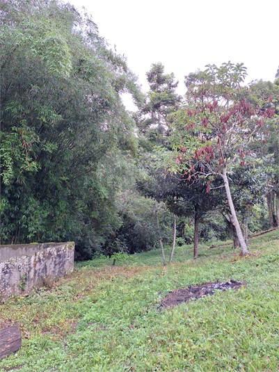 Foto REO1055589