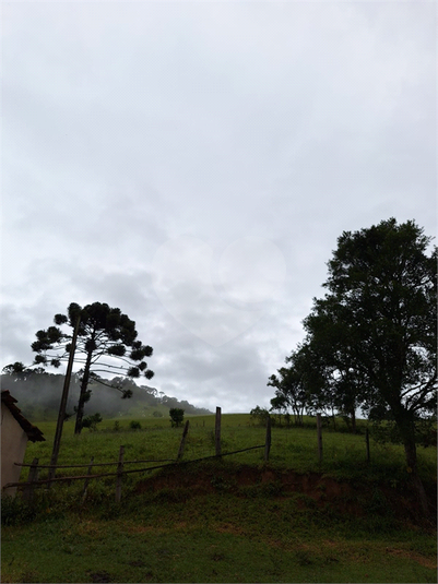 Foto REO1055589
