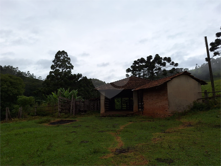 Foto REO1055589