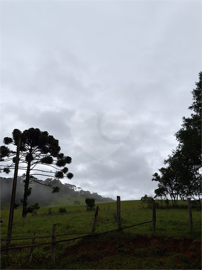 Foto REO1055589