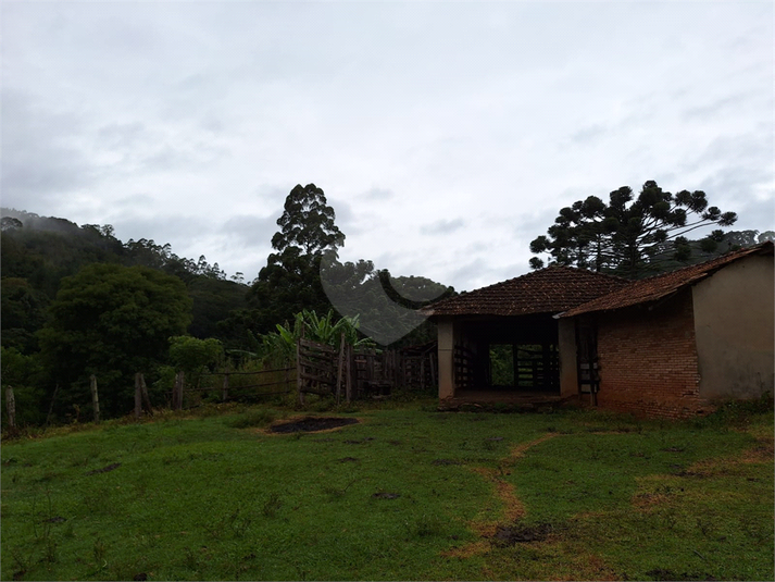 Foto REO1055589