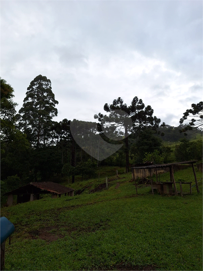 Foto REO1055589