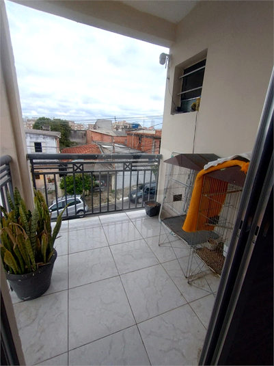 Foto REO1055603