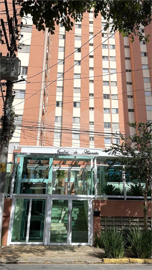 Foto REO1055627