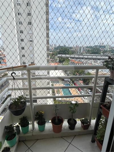 Foto REO1055627