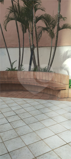 Foto REO1055628