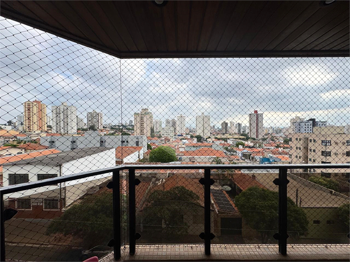 Foto REO1055647