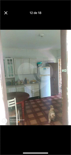 Foto REO1055659