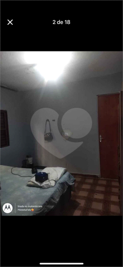 Foto REO1055659