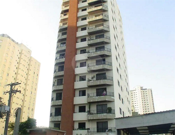 Foto REO1055661
