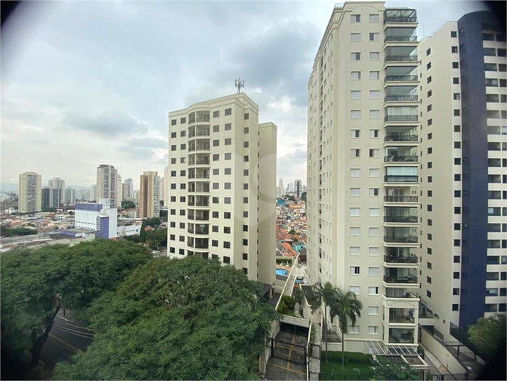 Foto REO1055685