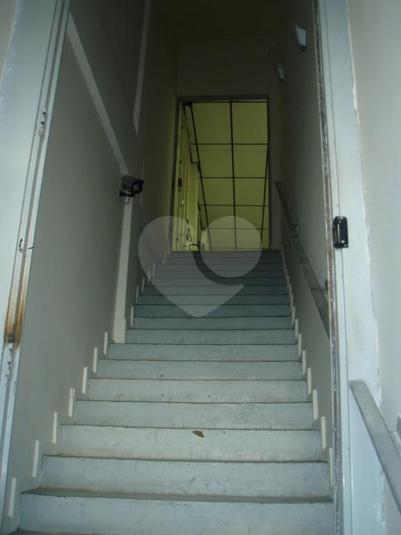 Foto REO105646