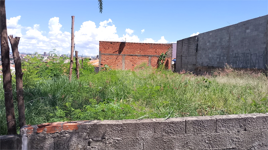 Foto REO1056757