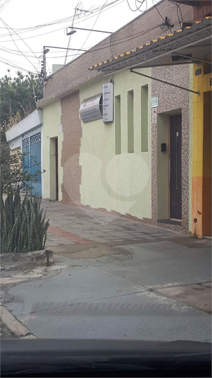 Foto REO1056772