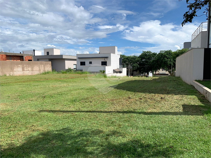 Foto REO1056783