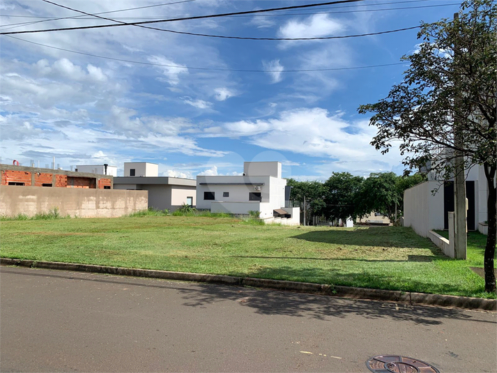 Foto REO1056783