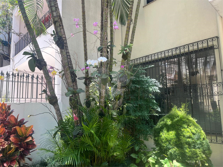 Foto REO1056807