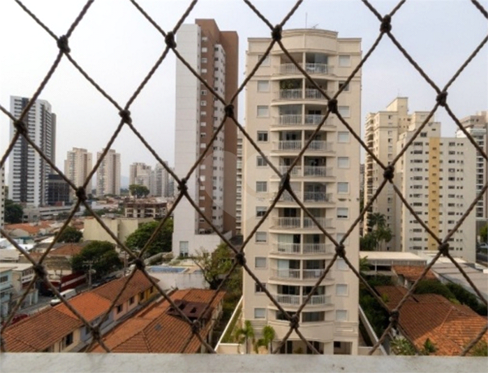 Foto REO1056825