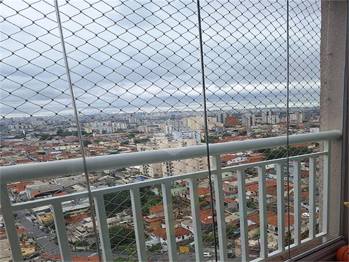 Foto REO1056826