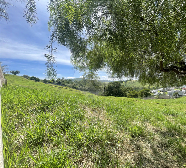 Venda Condomínio Vinhedo Monte Alegre REO1056850 1