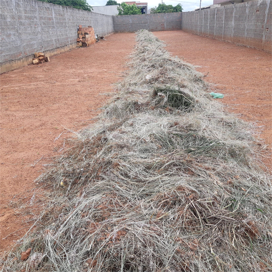 Venda Terreno Bauru Parque Viaduto REO1056953 12