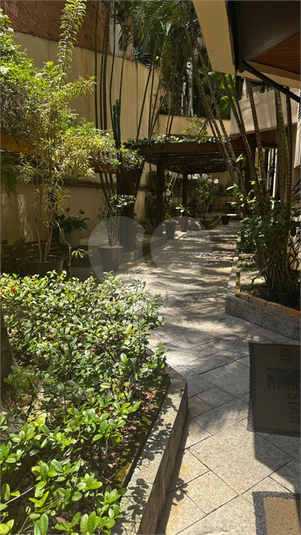 Foto REO1056961