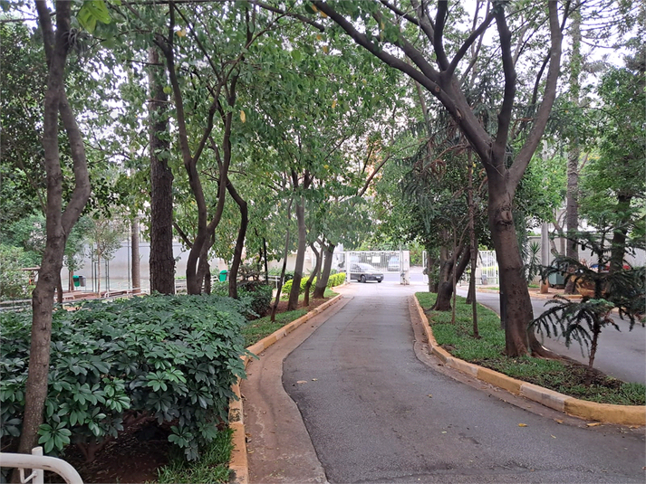 Foto REO1057004