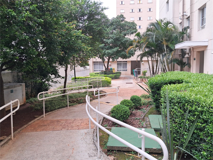 Foto REO1057004