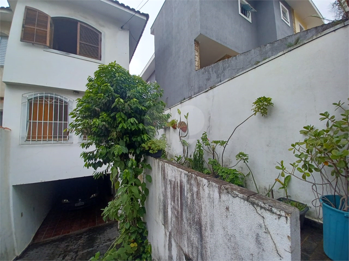 Foto REO1057073