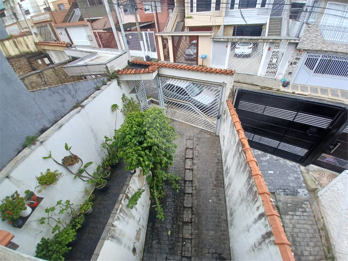 Foto REO1057073