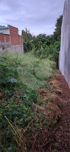 Venda Terreno Valinhos Jardim Alto Da Colina REO1057123 15