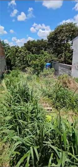 Venda Terreno Valinhos Jardim Alto Da Colina REO1057123 10